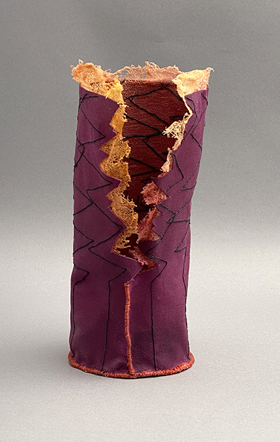 Schizophrenia Disorder